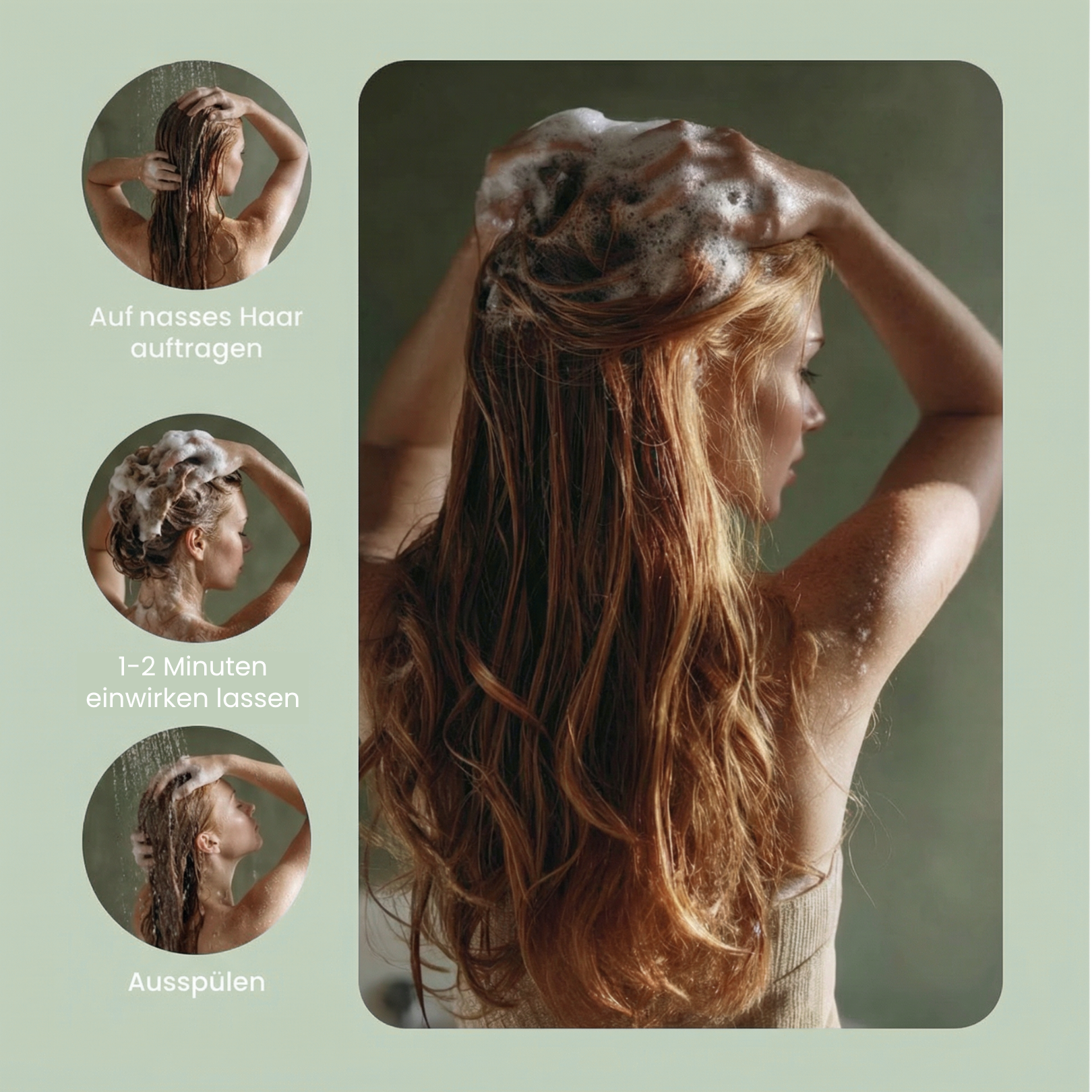 Malino Shampoo