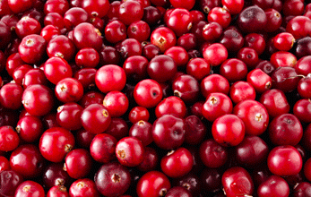 Bio-Cranberry